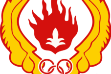 Tentang Koni